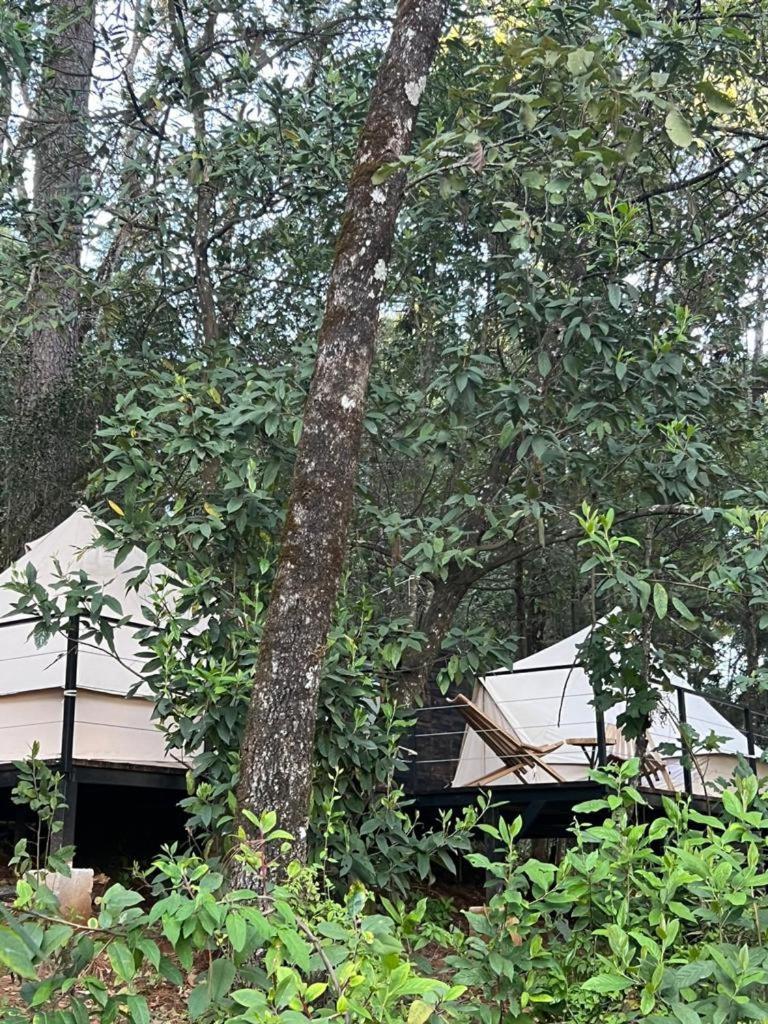 Hotel Oxu Solo Adultos Valle de Bravo Esterno foto