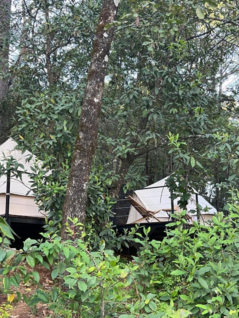 Hotel Oxu Solo Adultos Valle de Bravo Esterno foto